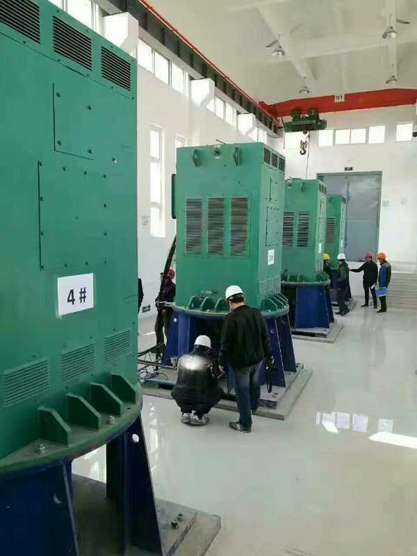 YKK4001-2某污水处理厂使用我厂的立式高压电机安装现场